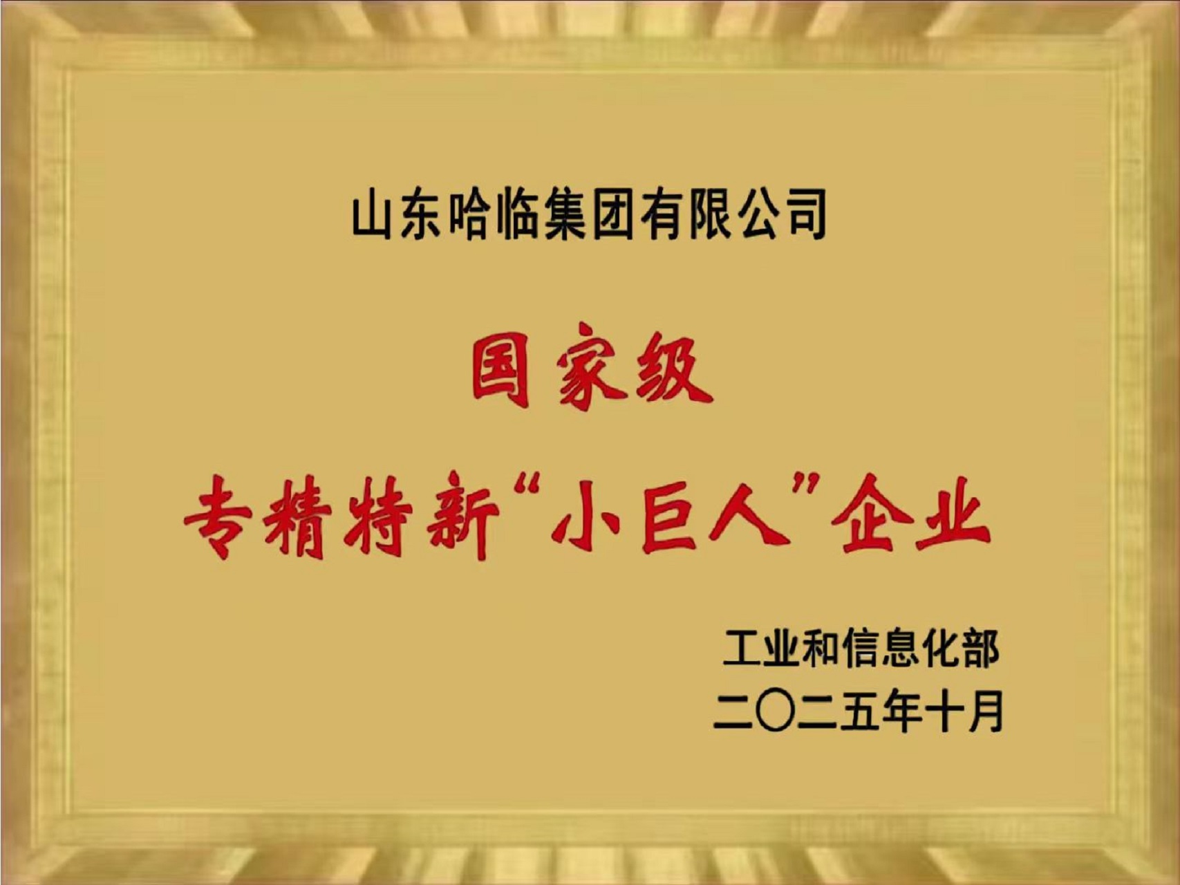 迈向新台阶！热烈祝贺我司荣获国家级“专精特新小巨人”企业称号！